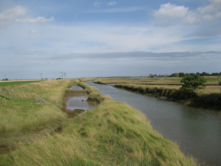 Beaumont Quay and Cut 29  August 2014 Copyright: William George
