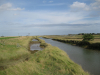 Beaumont Quay and Cut 29  August 2014 