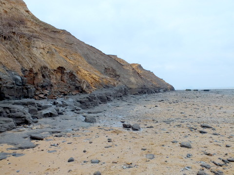 Naze cliffs shore scoured by easterlies Copyright: Peter Pearson