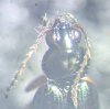 Bembidion biguttatum head