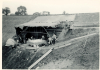 Aveley Mammoth Excavation 1964 6 