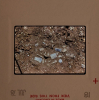 Littlebury Late Bronze Age Hoard M11 9 July 1978 slide 18 