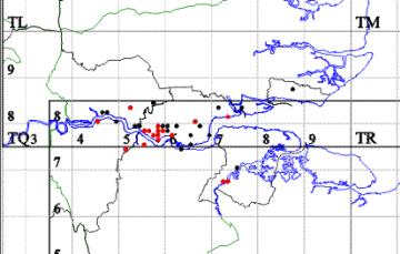 Cerceris quinquefasciata map Copyright: EFC