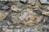 Bocking Church Exterior Flint with fossil shells 7 October 2025