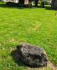 High Easter Church Boulder in churchyard detail