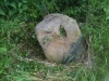 Ridgwell erratic boulder 2