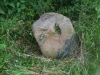 Ridgewell erratic boulder 2 