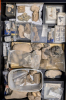 London Clay fossils in drawer from Waterworks Corner 