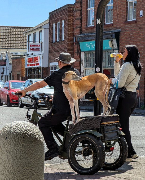 Witham Motorcyclist and Dog 10 May 2025 Copyright: William George