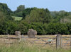 Tilty Abbey Ruins 43 17 June 2025
