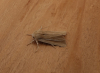 Shore Wainscot 2 