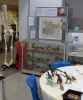 Essex Field Club Foyer and Gallery 4 October 2025