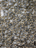 Hutton Church Knapped Flint Fabric 19 August 2025