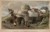 Tunbridge Wells Rock 1828 