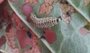 Viburnum Beetle - Pyrrhalta viburni Copyright: Fiona Hutchings