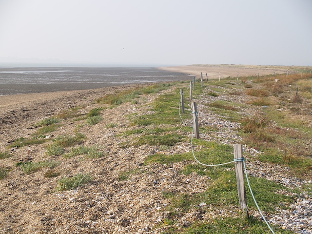 Colne Point Shingle Spit Copyright: Gerald Lucy