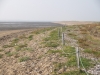 Colne Point Shingle Spit