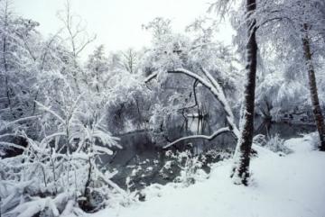 Wanstead Park in snow1 Copyright: Peter Harvey