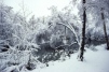 Wanstead Park in snow1 