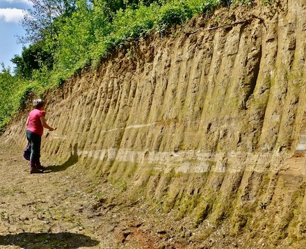 Marks Tey Brick Pit Copyright: Ian Mercer