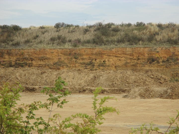 Fingringhoe Priors Pit 2015 Copyright: Preston Boyles
