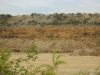 Fingringhoe Priors Pit 2015