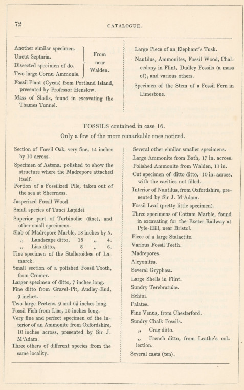 Saffron Walden Museum Fossil Catalogue 2 1845 Copyright: Abridged Catalogue of Saffron Walden Museum 1845