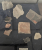 Tilty Church Tile Finds 17 June 2025 