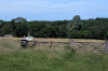 Tilty Abbey 33 17 June 2025