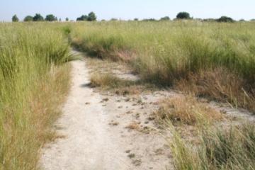 East Tilbury Silt Lagoons footpath Copyright: P.R. Harvey