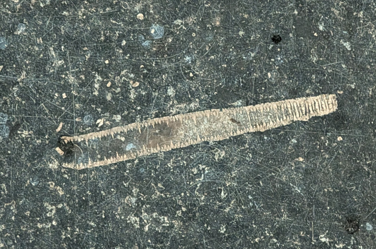 Clavering Church Monument with Fossil Crinoid 5 August 2025 Copyright: William George
