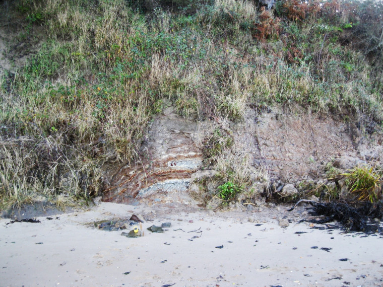 Wrabness Cliff fault with ash bands photograph Copyright: William George