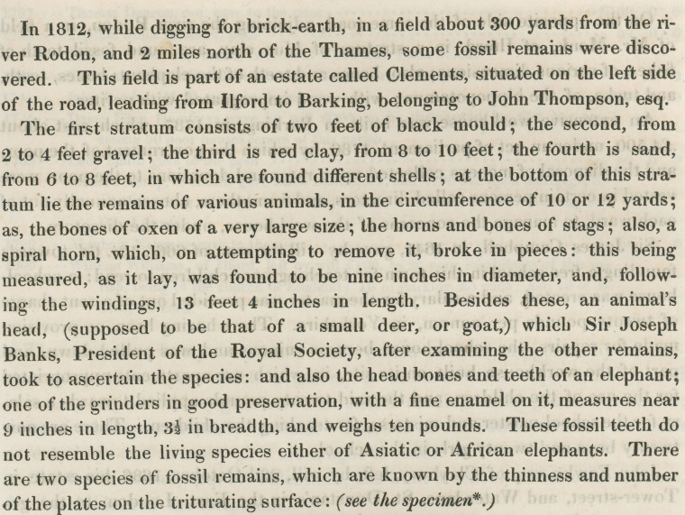 Ilford Mammoth Tooth Text Ogborne 1817 Copyright: Elizabeth Ogborne History of Essex 1817