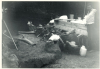 Aveley Mammoth Excavation 1964 2 