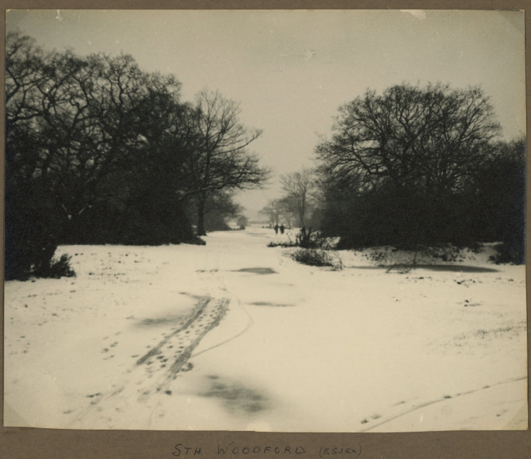 South Woodford Snow 1940s Copyright: Photograph Album