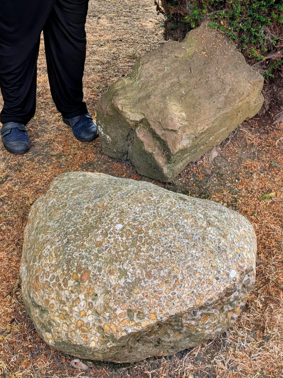 Tilty Sarsen and Puddingstone Boulders in Churchyard Copyright: William George 17 June 2025