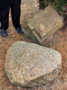 Tilty Sarsen and Puddingstone Boulders in Churchyard
