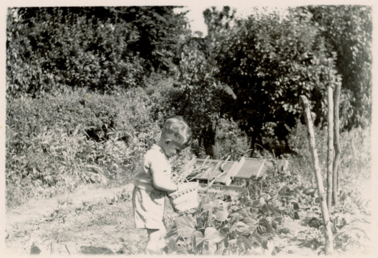 Roger Hewitt aged 2 in 1952 Buckhurst Hill Copyright: Dr Roger Hewitt