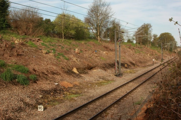 Hornchurch Cutting SSSI Copyright: Dave Taskis