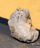 Castle Hedingham Sarsen Stone 7 8th August 2025