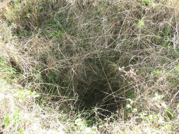 Beaumont Lime Kiln top feed 29 August 2014 Copyright: William George