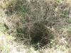Beaumont Lime Kiln top feed 29 August 2014 