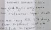 Brachiopod Gibbithyris semiglobosus Littlebury Heavy Hill Label 