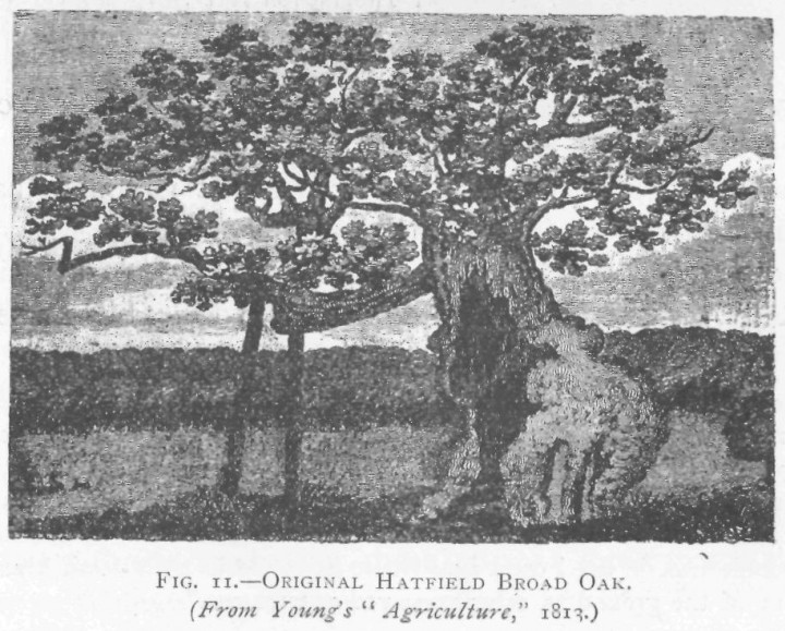 Hatfield Broad Oak Copyright: Essex Field Club