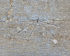 Castle Hedingham Church Sundial 8 August 2025