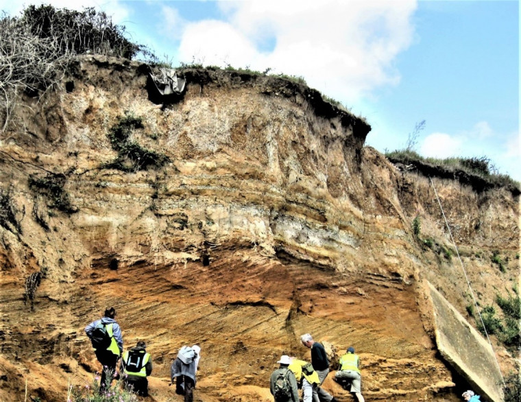 Pleistocene Gravels and Red Crag The Naze Walton on the Naze Copyright: William George