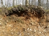 Gravel bank in Scrubs Wood 