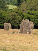 Tilty Abbey Ruins 35 17 June 2025
