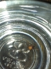 possibly a false widow 