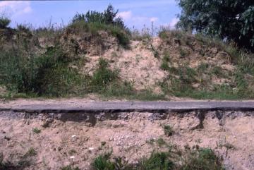 Canvey sand mound Copyright: Peter Harvey